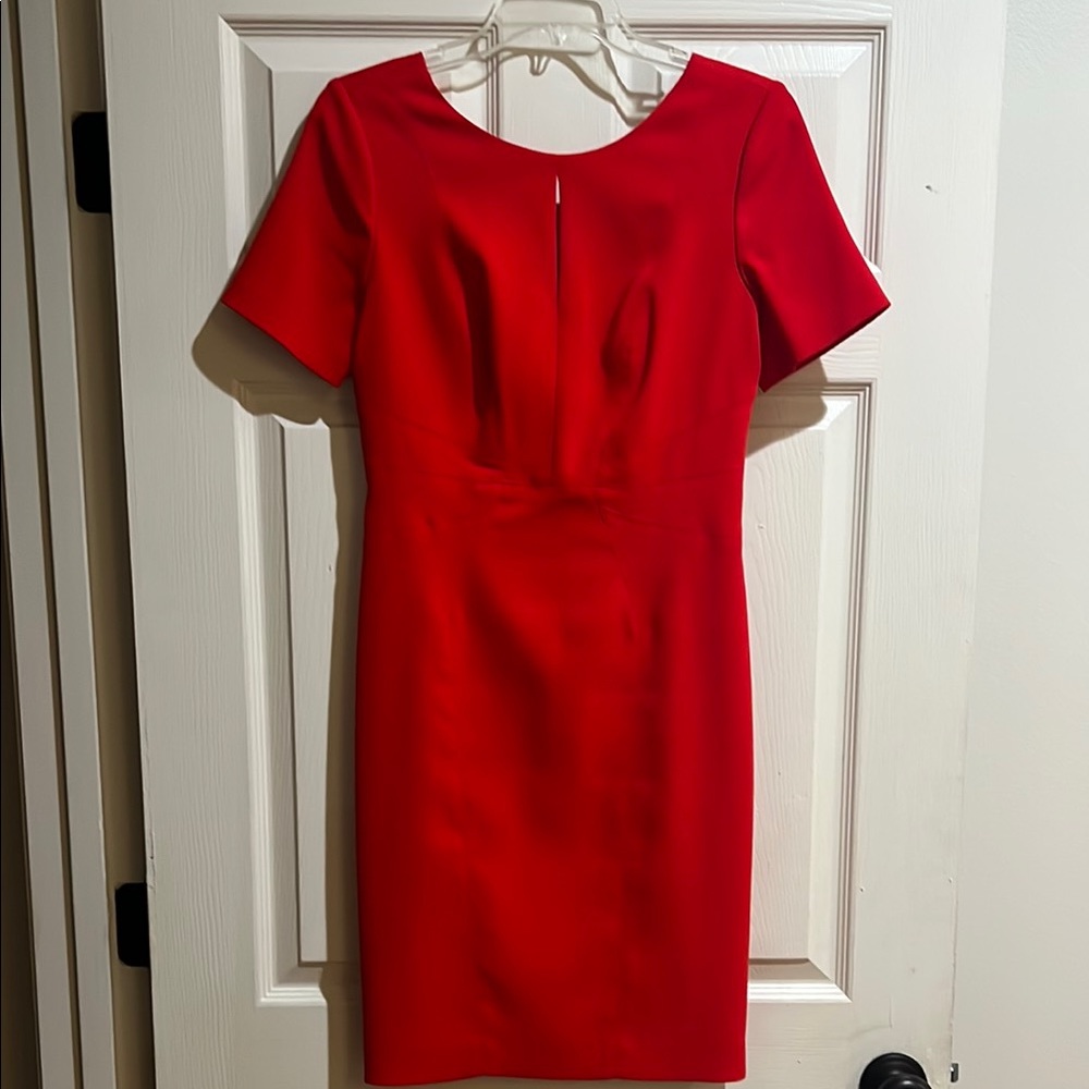 Red Sheath Mini Dress with Scoop Neck